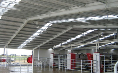 steel shed for cow breeding