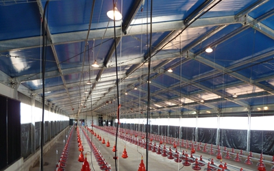 steel poultry farm