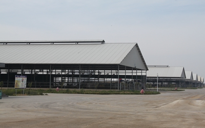 shed for farm light steel structure